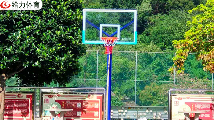 江門學?；@球架