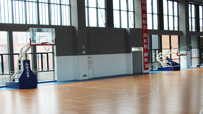 中山籃球架廠家