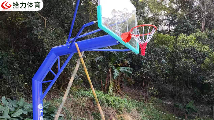 肇慶籃球架廠家